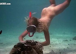 नग्न हस्तियाँ - पानी के नीचे दृश्य